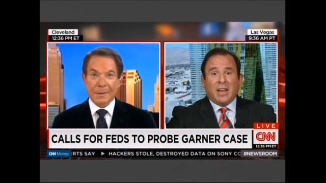 Richard Herman CNN LIVE 12.6 Police Procedures Post Garner et al смотреть онлайн