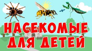 Учим насекомых ¦ развивающий мультфильм ¦ животные для детей