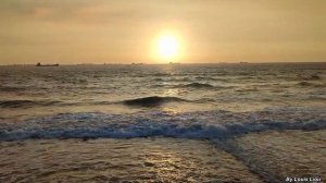 Barry White & The Love Unlimited Orchestra   Love's Theme