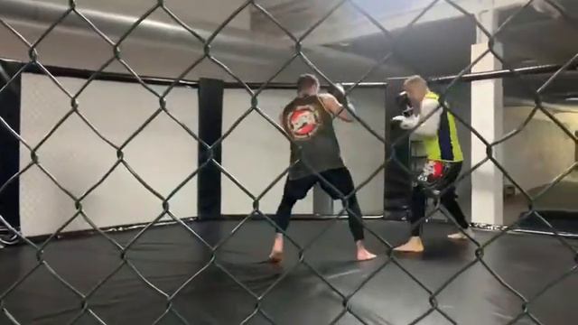 Paco vs Tulio 9 смотреть онлайн