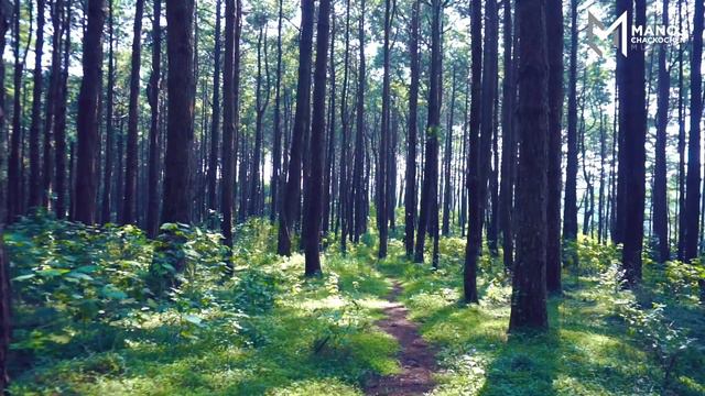 DEEPAMAI | MANOJ CHACKOCHEN | BIJU KUMBANAD | BOBBY SAM | NEW MALAYALAM CHRISTIAN SONG |JONER PRODU смотреть онлайн