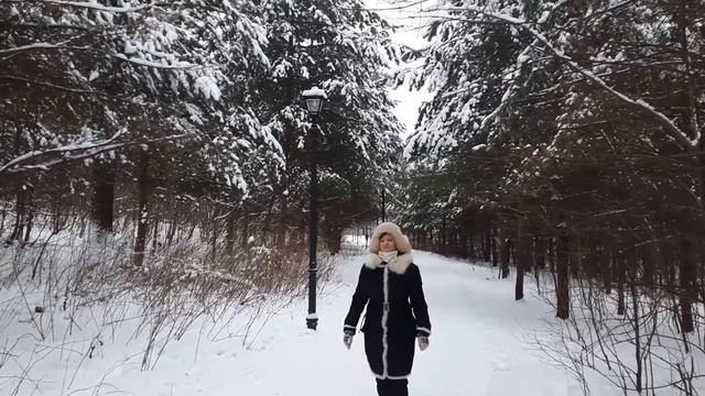 Клип на песню "Снег-снежок". (Съемка А. Степанцева) смотреть онлайн