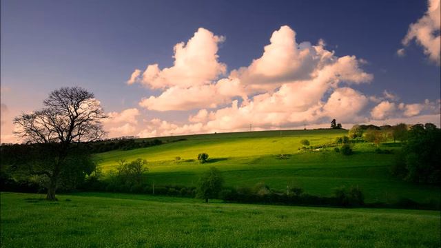 Jacob Collins Piano Trio смотреть онлайн