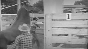 Fury | Season 1 | Episode 11 | Junior Rodeo | Peter Graves | Bobby Diamond | William Fawcett