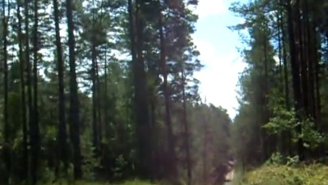 Albert Forster - the 'humanitarian' Nazi смотреть онлайн