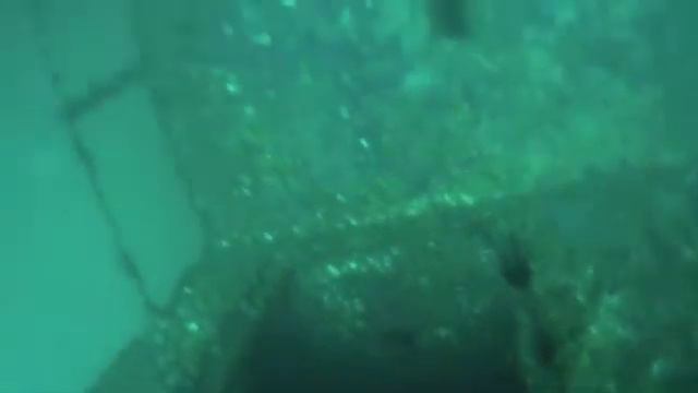 Kenny's First Wreck Dive - HMAS Brisbane, AUS 1 смотреть онлайн
