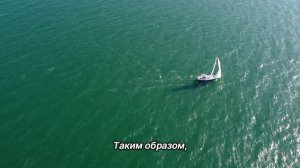 "Жить полной жизнью". 30 сентября. Мужество меняться. Ежедневник для созависимых.