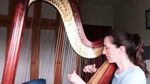 Le Onde - Ludovico Einaudi (Harp)