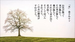 金子みすゞ「木」歌にしました聴いてください。初音ミク、自作曲、オリジナル曲、DTM