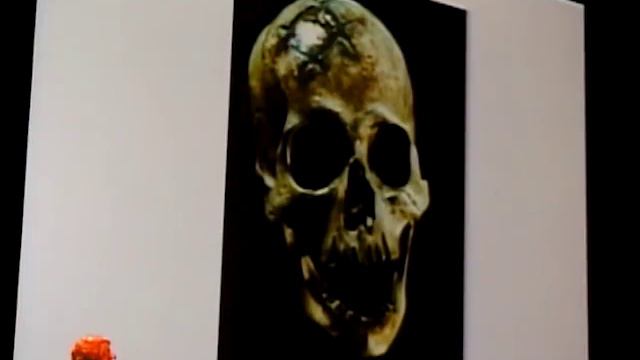 Mystery of the Olmecs with David Hatcher Childress. смотреть онлайн