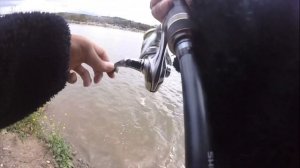 Laguna Niguel and Santa Ana River Lakes Trout fishing (SOCAL)