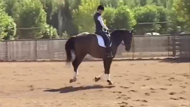 Olympian Charlotte Bredahl and Monty Roberts смотреть онлайн