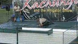 Alligator show!