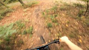 Autumn Hometrail Action | Downhill and Randoms #1