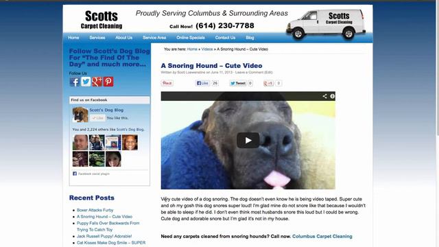 How To Blog For Carpet Cleaners смотреть онлайн