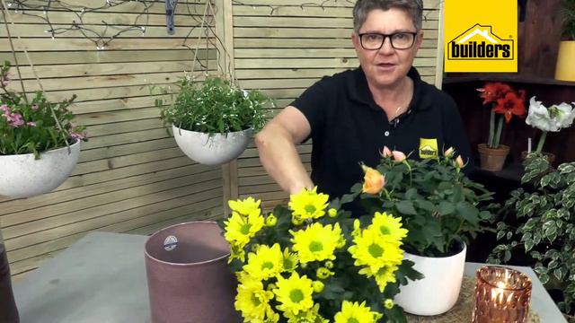 Garden Masterclass with Tanya Visser смотреть онлайн