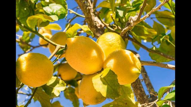 Мои стихи. Рука Дарующего! (Тина Ансарова) смотреть онлайн