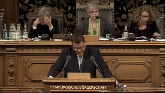 Finn Ole Ritter MdHB zu freiem WLAN in Parks am 24.01.2013 смотреть онлайн