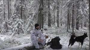 Проверка путика//КУНИЦА В КАПКАНЕ//Заготавливаю дрова.Охота с мелкашкой