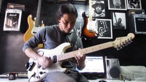 Test Seymour Duncan JB(SH-4) & Jazz(SH-2) Guthrie Govan style