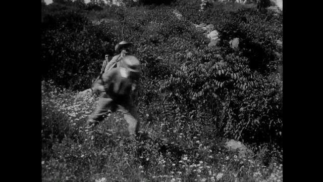 The Adventures of Dollie 1908 D. W. Griffith G. W. Bitzer