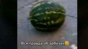 арбуз