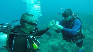 Buceo en los Bajos de Pto. Cabello(3)