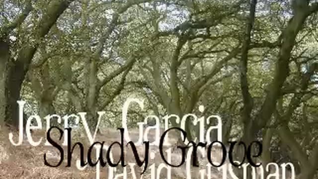 Jerry Garcia and David Grisman - Shady Grove смотреть онлайн