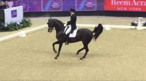 Edward Gal 78% World Cup Grand Prix Dressage Freestyle!