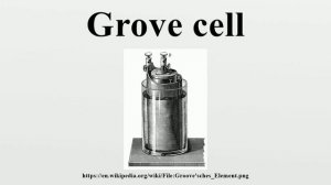 Grove cell