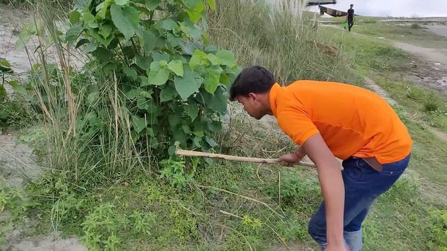 Finding Tortoise and Eggs in Soil Hole | Boy Searching Tortoise смотреть онлайн
