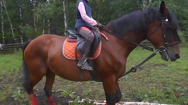 Махерово занятия смотреть онлайн