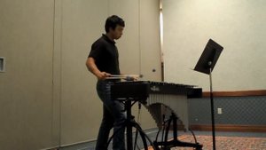 Midnight Star by Freidman on Vibraphone