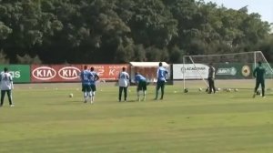 Garotos realizam sonho pessoal e participam de treino do Verdão