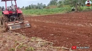 proses pencacahan batang singkong mengunakan rotariy 1x jalan jadi. traktor gatra gt3