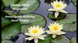 Zdenek Fibich Andantino