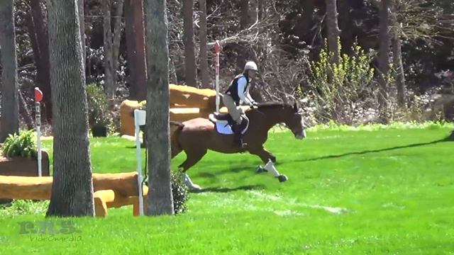 Annie Goodwin  Fedarman B The Fork CIC  Horse Trials at TIEC 2017