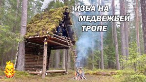 Строительство УБЕЖИЩА для ВЫЖИВАНИЯ в лесу. Прячемся от непогоды и животных в теплой хижине | АСМР
