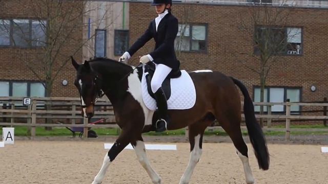 Vote for Lucy Rowton Lee  - Likit Brand Ambassador 2016 Entry #teamlikit смотреть онлайн