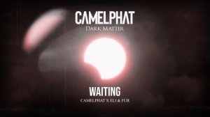 CamelPhat, Eli & Fur - Waiting (Visualiser)