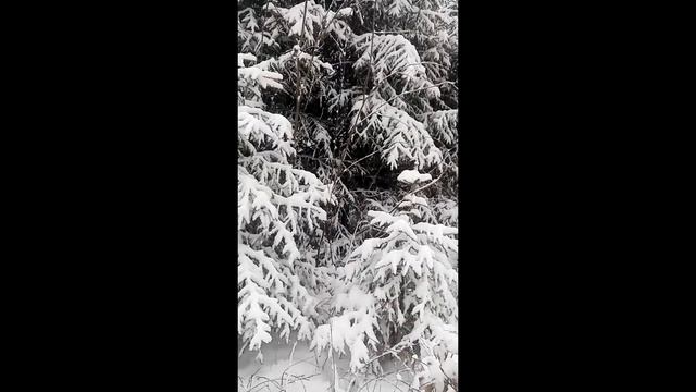 зима вступила в свои прова снежная Беларусь смотреть онлайн