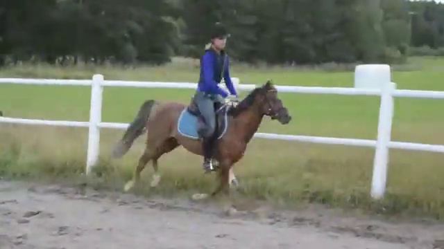 Trendy hopp смотреть онлайн