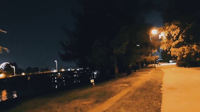 VID 20230928 200250 Заметив мой угрюмо сжатый рот...(Филип Сидни)...Павел Васильев Лахтинский смотреть онлайн