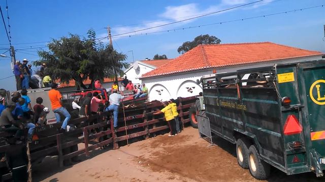 Samora correia 2014 смотреть онлайн