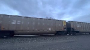A Northbound BNSF #8439 Empty Energy Coal Train