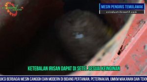 Mesin Pengiris Temulawak Perajang Empon Multiguna