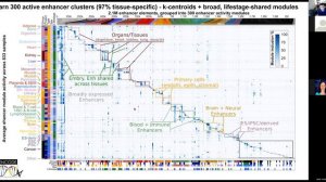 ENCODE 2020 Users Meeting Manolis Kellis Presentation (Live Version)