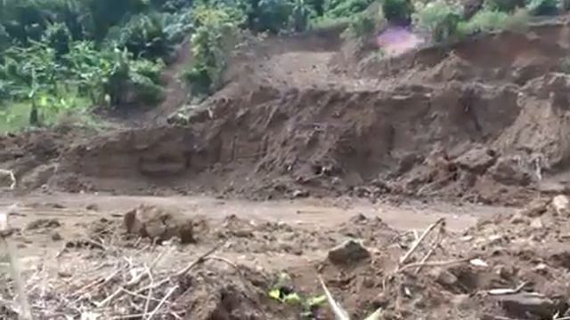 An Arrey Ivo video on agroforestry, water use, country onions and bread fruit with Pa Foncham смотреть онлайн