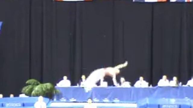Lu Chunlong (CHN) Belgium 2008 - Prelims смотреть онлайн