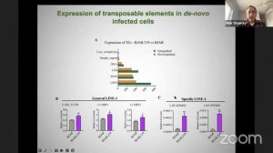 Oncovirus manipulating endogenous transposable elements to promote tumor growth by Dr. Meir Shamay.